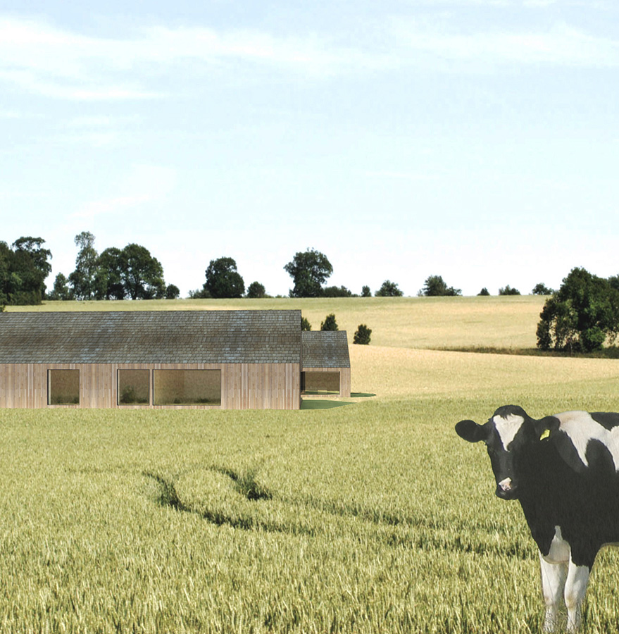 LBMVARCHITECTS-C006-03.jpg